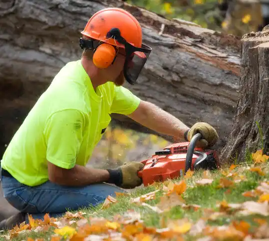 tree services Oxford